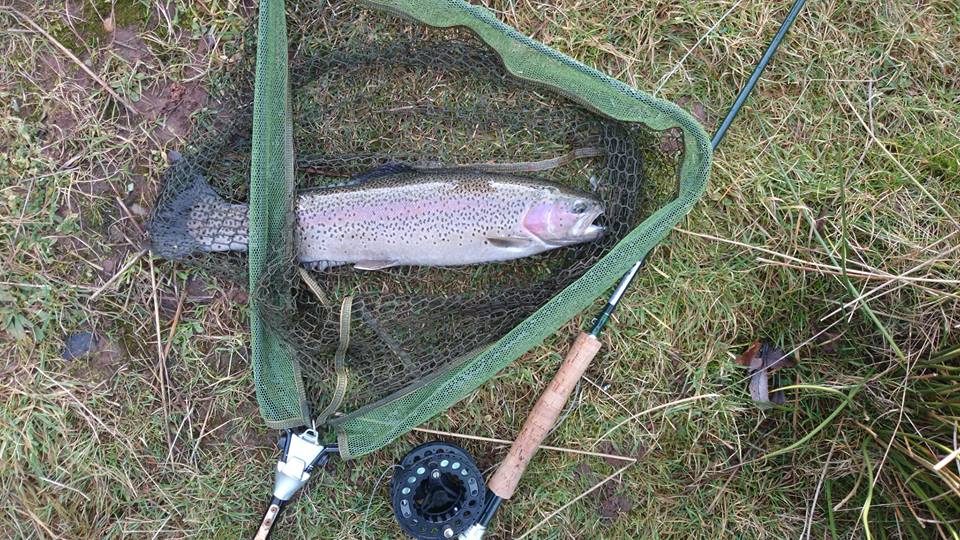 Roll Cast Fly Fishing Guided fly fishing in Derbyshire and Yorkshire